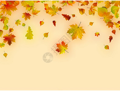 多彩叶的秋天卡图片