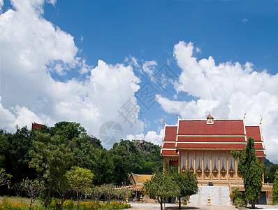 泰国的佛教寺庙叶子文化建筑学天空森林蓝色宗教图片