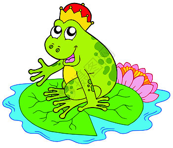 水里百合的青蛙王子图片