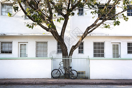 ArtDeco 树和自行车热带商业阳台住宅建筑学办公室建筑街道场景棕榈图片