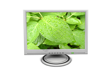 LCD 平屏屏幕监视器绿叶雨滴环境晶体管花园电脑视频水分生长植被叶子图片