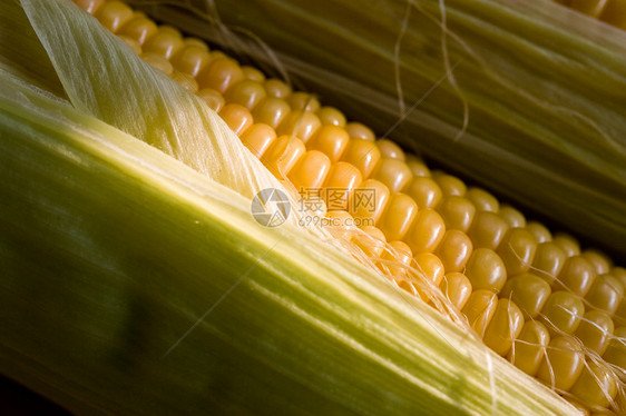 玉米饮食粮食食物蔬菜图片