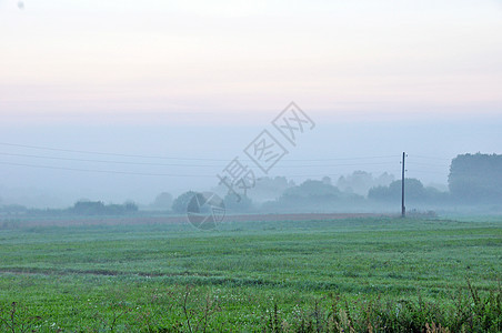 清晨云雾图片