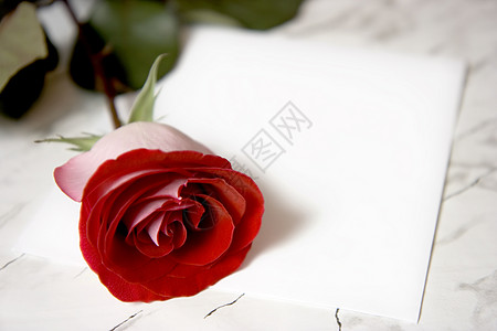 红玫瑰桌子装饰叶子礼物婚礼风格花瓣玫瑰大理石奢华图片