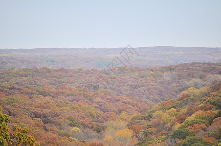 布朗县国家公园植物群绿色丘陵树叶换季树干树木叶子季节爬坡图片