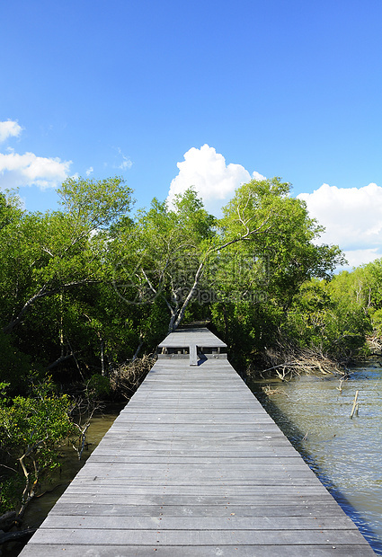 木桥支撑热带天桥旅游人行道树木海岸小路边界假期图片