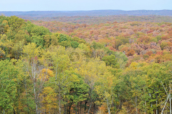 布朗县国家公园树干绿色树叶叶子季节爬坡植物群换季树木丘陵图片