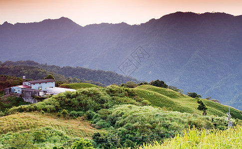 农场清晨日出牧场环境地平线爬坡草原橙子土地植物植物群叶子图片