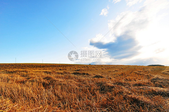 秋季的字段生长乡村场地草地农业野花收成蓝天图片