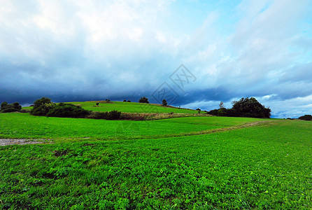 雷暴中的字段农业气象野花闪电风暴场地天气草地生长收成图片