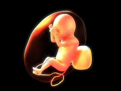 人类胎儿父亲身份脐带居住婴儿腹部子宫极端主义者超声微笑图片