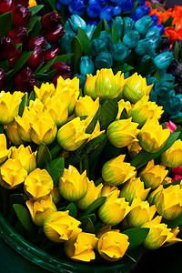 木制的郁金香展示收藏花束团体植物店铺季节性黄色市场宏观图片