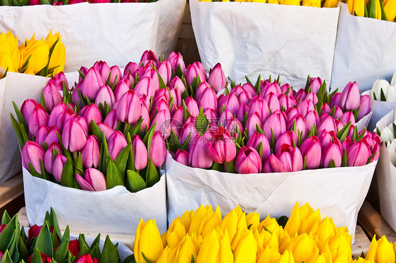 阿姆斯特丹花卉市场植物园艺花店植物群庆典花园灯泡店铺季节性花束图片