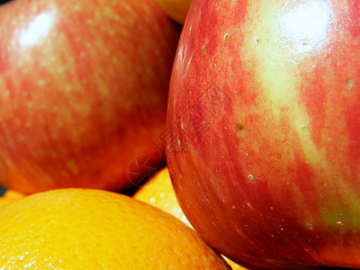 苹果和橙子饮食水果肉质黄色食物红色农场收成果园植物图片