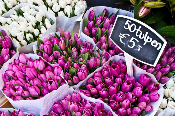阿姆斯特丹花卉市场展示销售植物群灯泡季节性花束植物花店园艺店铺图片