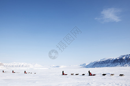 狗雪车竞赛旅游蓝色冒险生态旅游荒野运动男人山脉全景图片