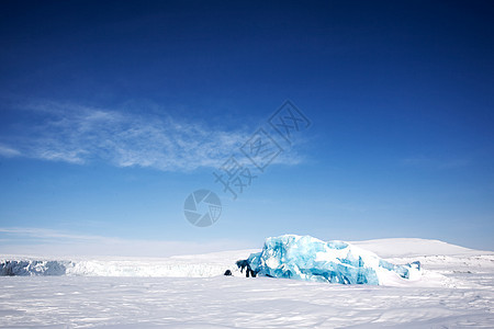 冰川冰全景环境冻结旅游地形场景风景海洋气候荒野图片