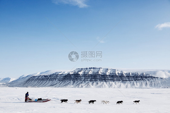 狗悬雪远征队竞赛旅行山脉运动荒野全景蓝色游客男人旅游图片