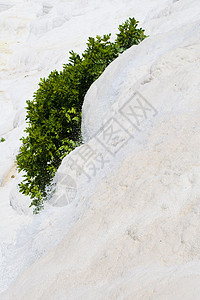 土耳其 Pamukkale土耳其 棉花白山 国家保留地和旅游景点 温泉水池棉布假期盆地童年风景瀑布海浪阳台岩石图片