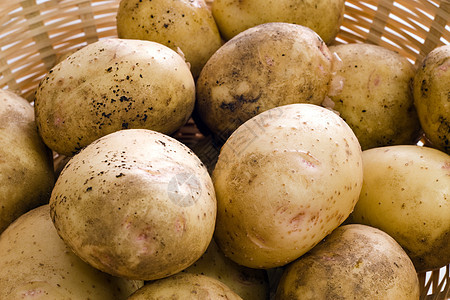 新鲜土豆食品块茎农业蔬菜植物淀粉农场棕色团体白色图片