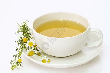 Camomile 茶医疗药品雏菊植物草本白色草本植物杯子饮料治疗图片