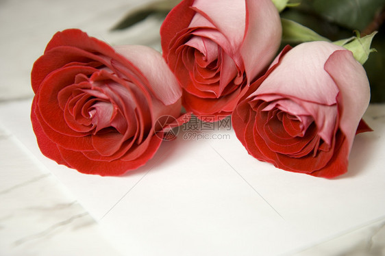三朵红玫瑰和纸条卡片玫瑰奢华大理石植物风格桌子派对叶子装饰图片
