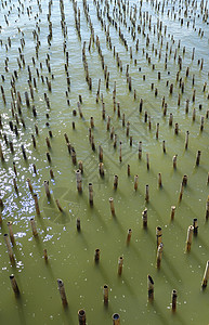 竹子波纹海浪滚筒冲浪减速巨浪柱子图片