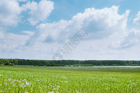 海菲尔德自然背景天堂天空叶子植被林地木材绿色植物季节风景时期背景