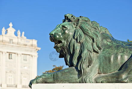 马德里东马德里广场 费利佩四世的雕像观光建筑地标国家吸引力旅游旅行狮子城市广场图片