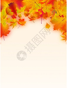文字的秋天叶边框充满活力图片