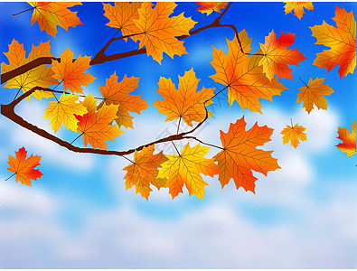 美丽的秋天背景与线索天空对比图片
