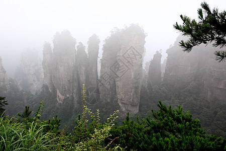 中国国家森林公园     张贾吉多云公园城市悬崖公吨风景柱子森林世界树木图片