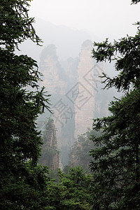 中国国家森林公园     张贾吉岩石树木遗产多云风景公吨柱子森林公园城市图片