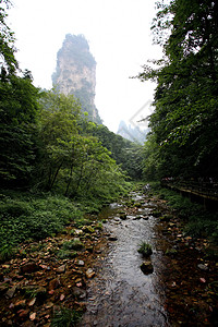 中国国家森林公园     张贾吉岩石悬崖遗产城市公吨世界森林树木柱子多云图片