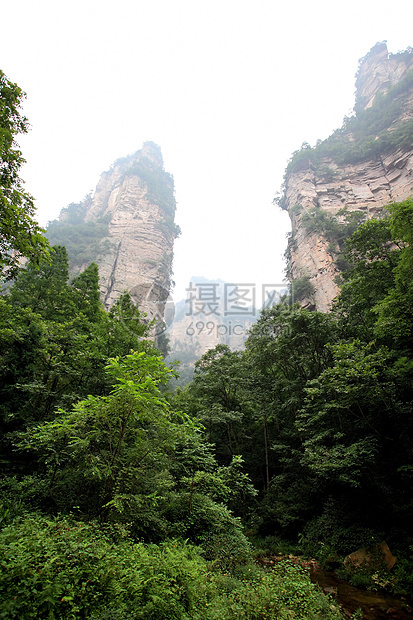 中国国家森林公园     张贾吉风景悬崖公园世界森林公吨遗产岩石树木柱子图片