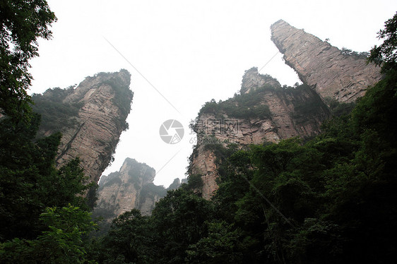 中国国家森林公园     张贾吉柱子风景国家城市世界公吨森林遗产岩石多云图片