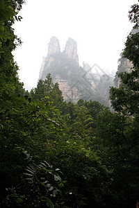 中国国家森林公园     张贾吉岩石悬崖世界树木国家公吨森林城市公园多云图片