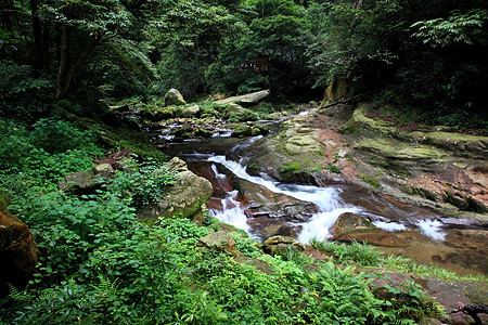 中国国家森林公园     张贾吉国家风景溪流城市树木世界森林遗产多云公园图片