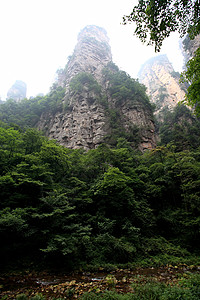 中国国家森林公园     张贾吉国家森林悬崖遗产城市公园公吨树木柱子岩石图片