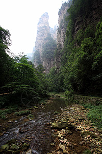 中国国家森林公园     张贾吉森林公吨多云风景国家世界公园树木城市遗产图片