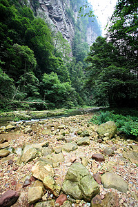 中国国家森林公园     张贾吉遗产森林公吨公园城市多云悬崖树木岩石风景图片