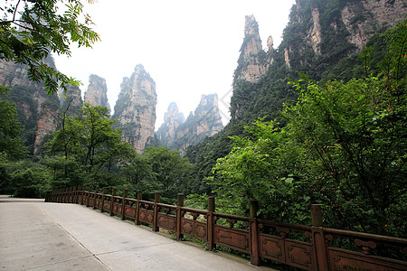 中国国家森林公园     张贾吉城市公吨柱子树木风景国家悬崖多云森林溪流图片