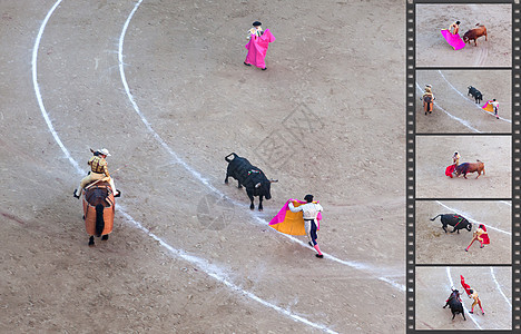 公牛交火 这是世界上最有争议的事件之一广场斗牛士戒指旅游文化全景斗牛场首都国家斗牛图片