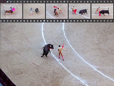 公牛交火 这是世界上最有争议的事件之一首都运动广场吸引力地标城市竞技场旅游斗争斗牛场图片