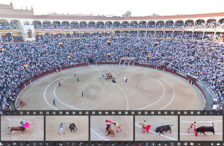 公牛交火 这是世界上最有争议的事件之一斗争建筑广场娱乐人群斗牛首都国家竞技场斗牛场图片