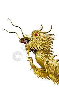 白色背景的金龙头雕像传统信仰力量文化射线金子装饰品雕塑刺刀动物图片