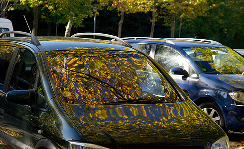 秋季汽车树叶季节反光反射驾驶叶子公园玻璃黑色图片