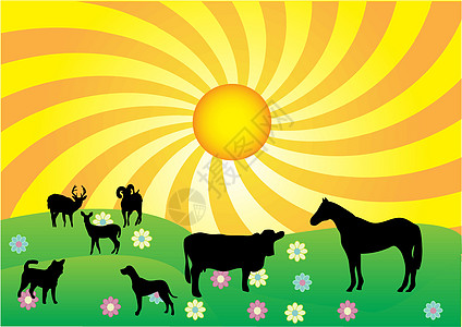 夏季夏月草地天气叶子土地阳光植物学插图场地奶牛绿色图片