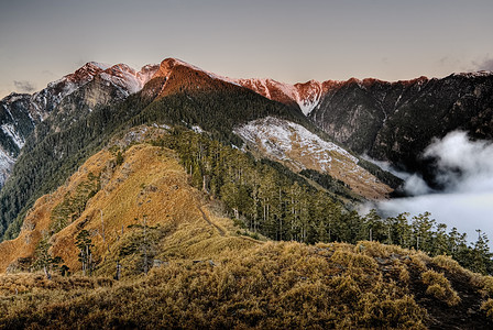 美丽的山地景观草原场景蓝色场地牧歌爬坡风景森林山坡顶峰图片