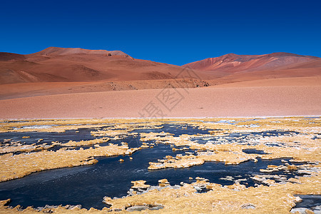 智利阿塔卡马沙漠的克皮亚科冷冻环礁湖苔藓地区沙漠气候寂寞山脉孤独旅行干旱风景图片
